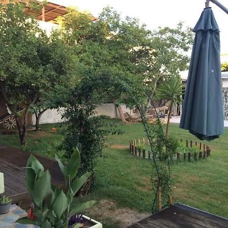 Poppy Beloni 3* Ханья