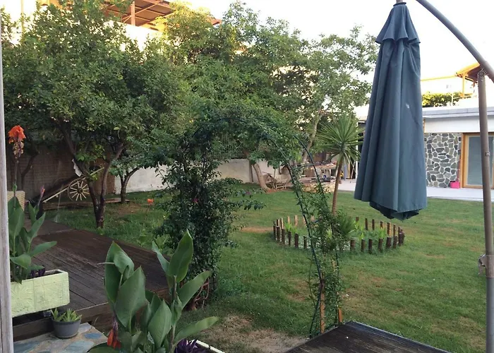 Poppy Beloni 3* ハニア